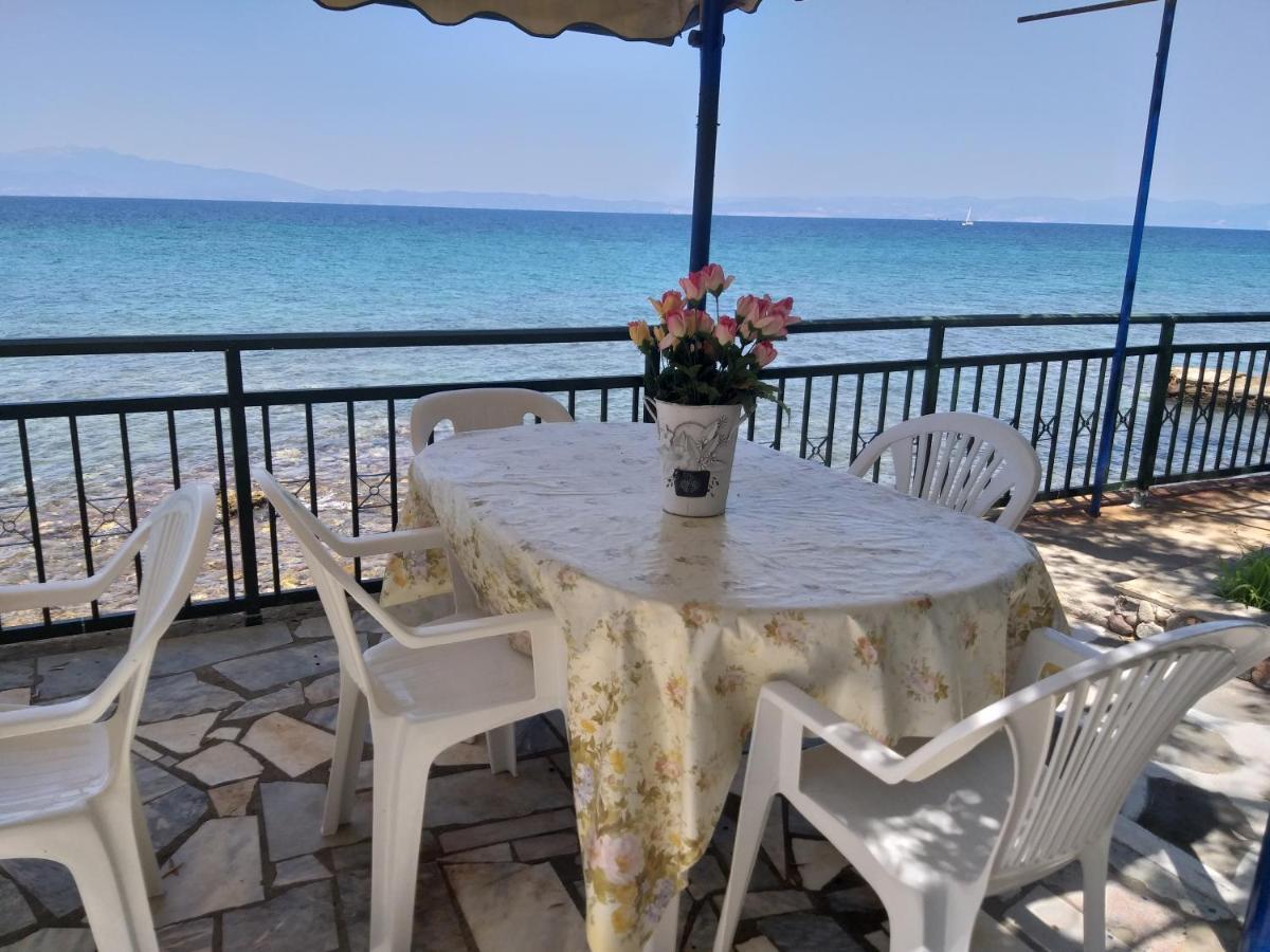 Sea View Bungalows Σκάλα Καλλιράχης Εξωτερικό φωτογραφία