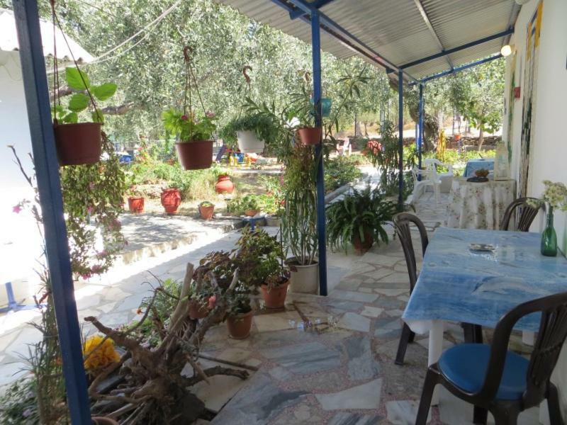 Sea View Bungalows Σκάλα Καλλιράχης Εξωτερικό φωτογραφία