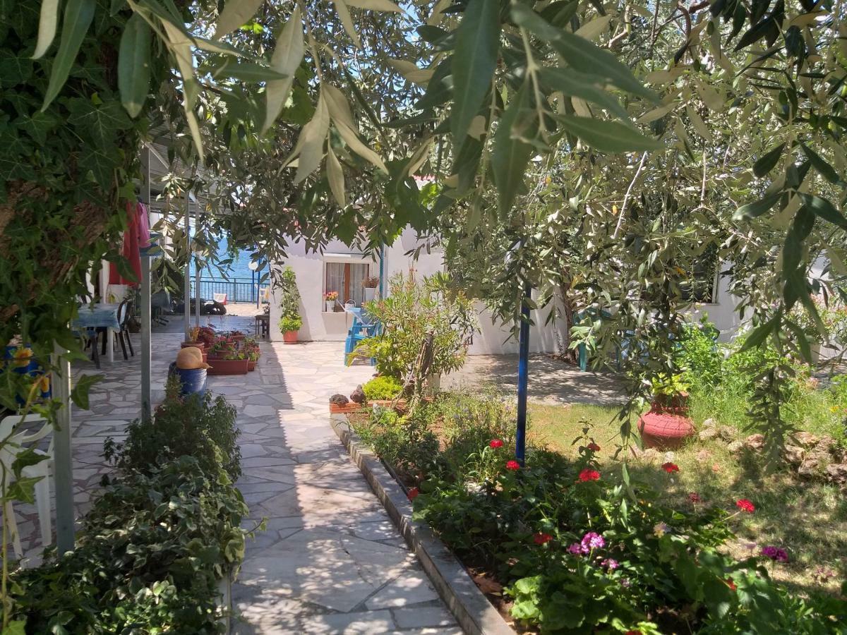 Sea View Bungalows Σκάλα Καλλιράχης Εξωτερικό φωτογραφία