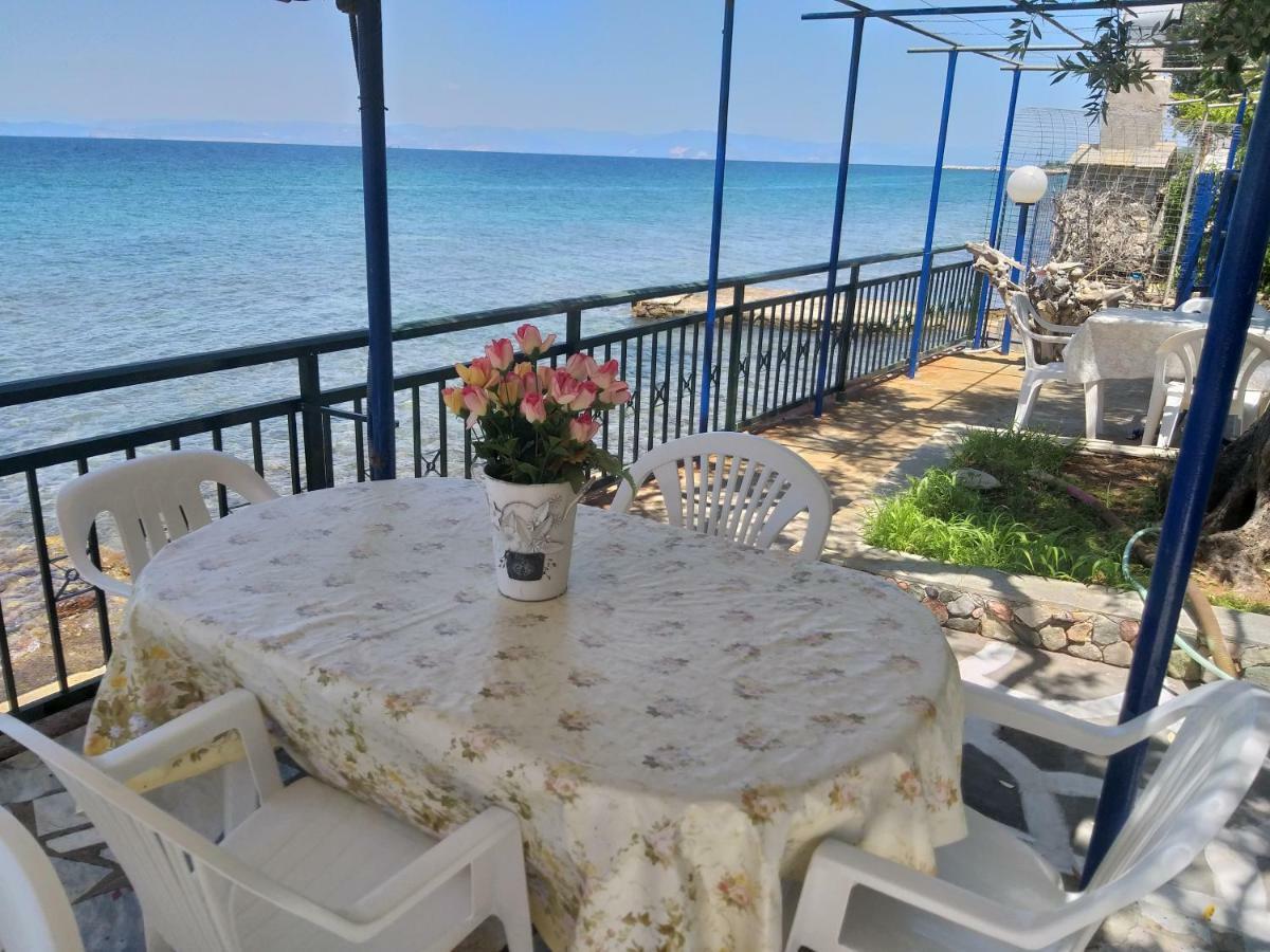 Sea View Bungalows Σκάλα Καλλιράχης Εξωτερικό φωτογραφία