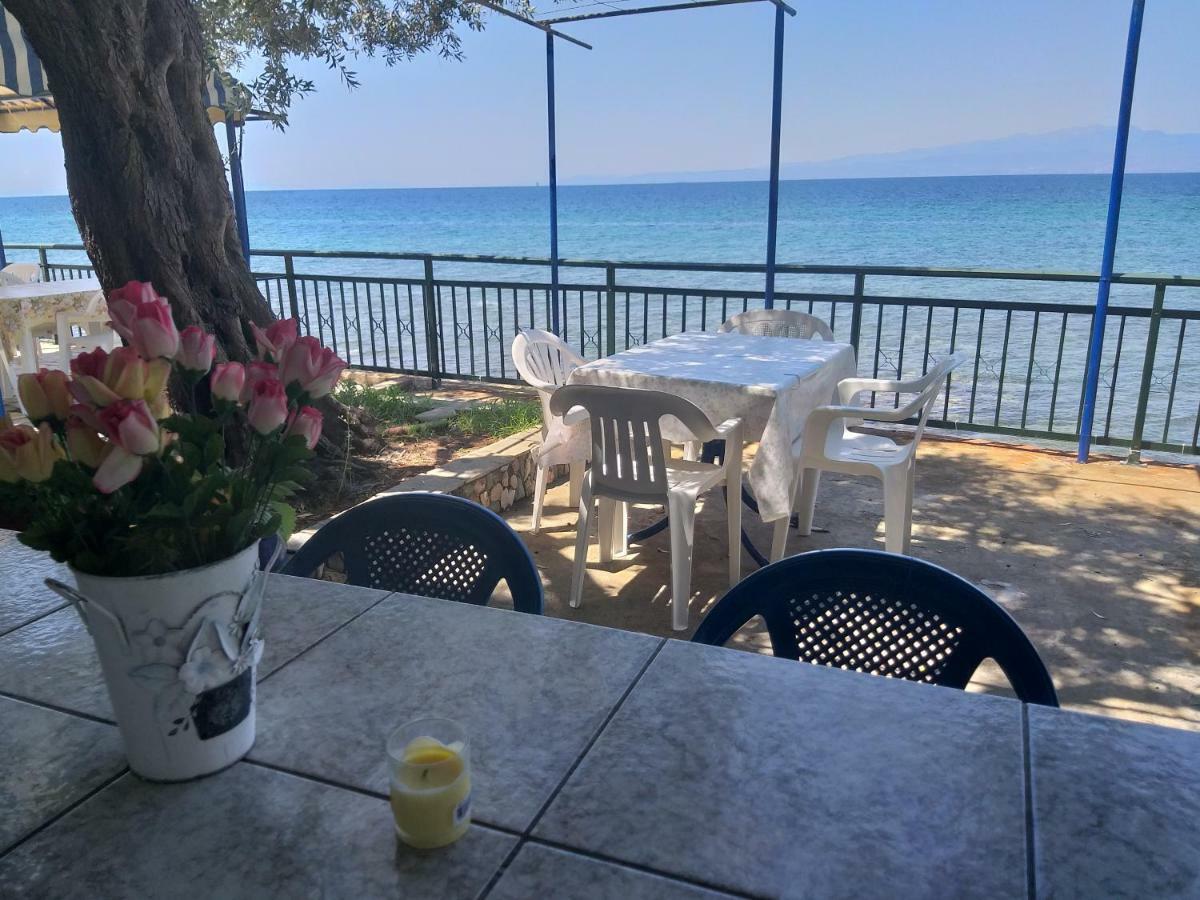 Sea View Bungalows Σκάλα Καλλιράχης Εξωτερικό φωτογραφία