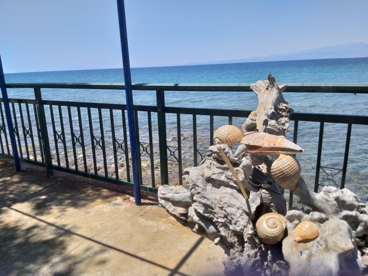 Sea View Bungalows Σκάλα Καλλιράχης Εξωτερικό φωτογραφία
